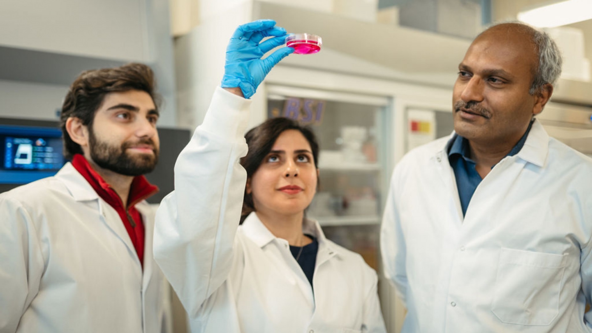 New low-cost technique forms durable, easy-to-apply cell sheets in just five hours