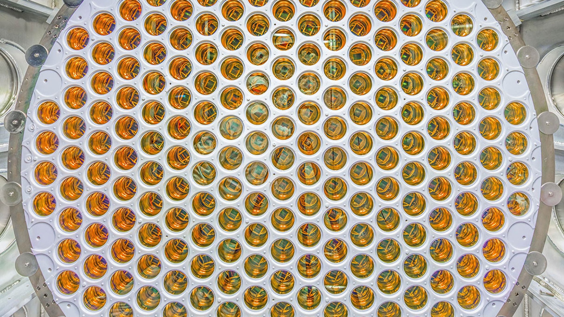 One of the world’s biggest detectors inches nearer to detecting true dark matter 