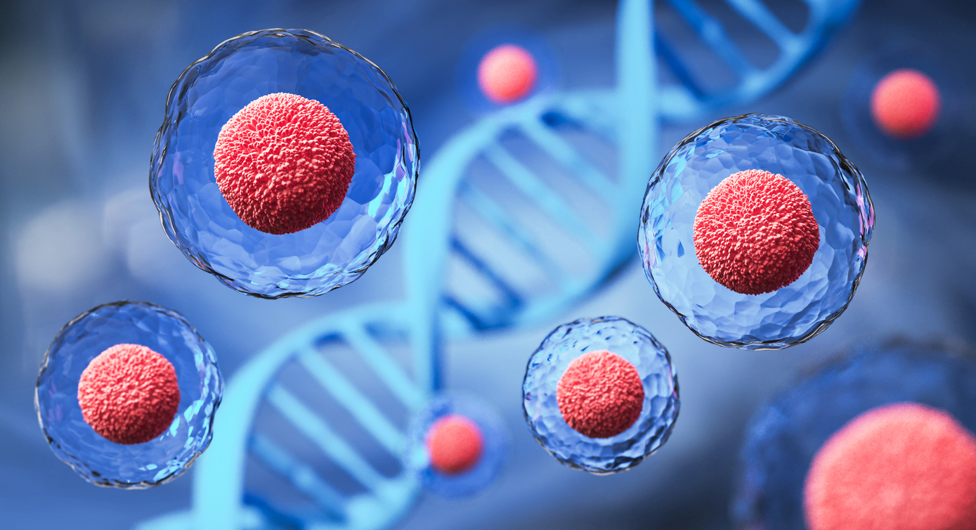Scientists identify a non-coding gene that directly controls how big cells grow