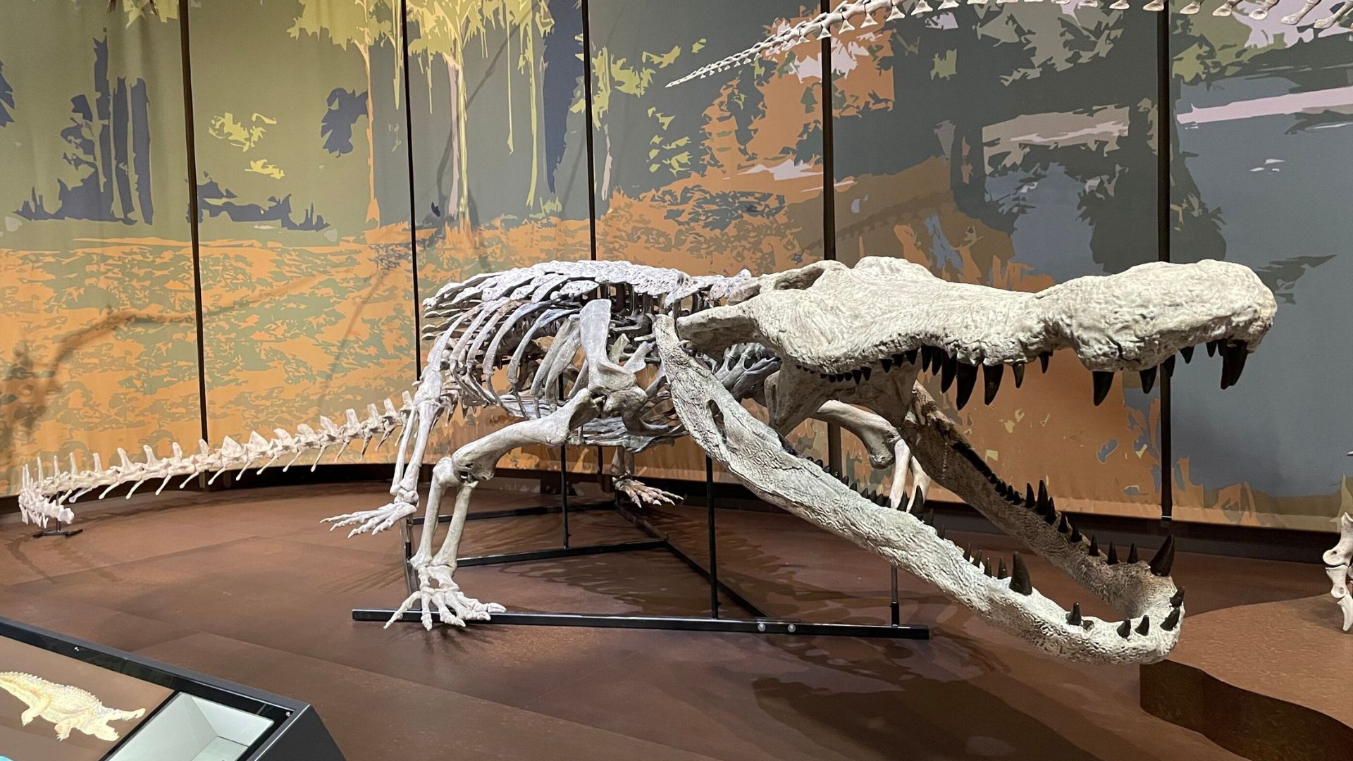 ‘Terror croc’: US museum unveils first accurate replica of dinosaur-killer predator 