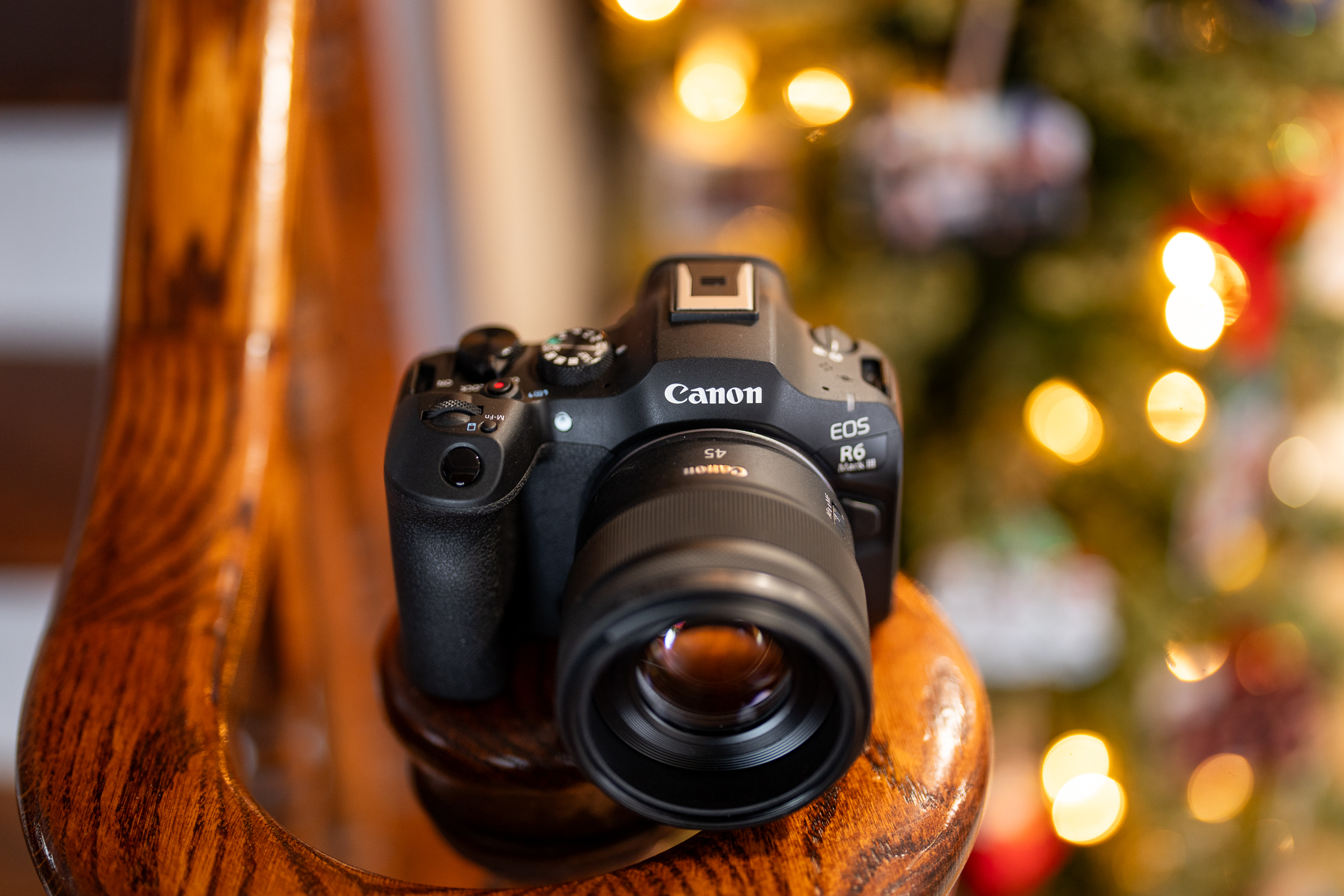 The Canon EOS R6 Mark III is great, but this lens is amazing
