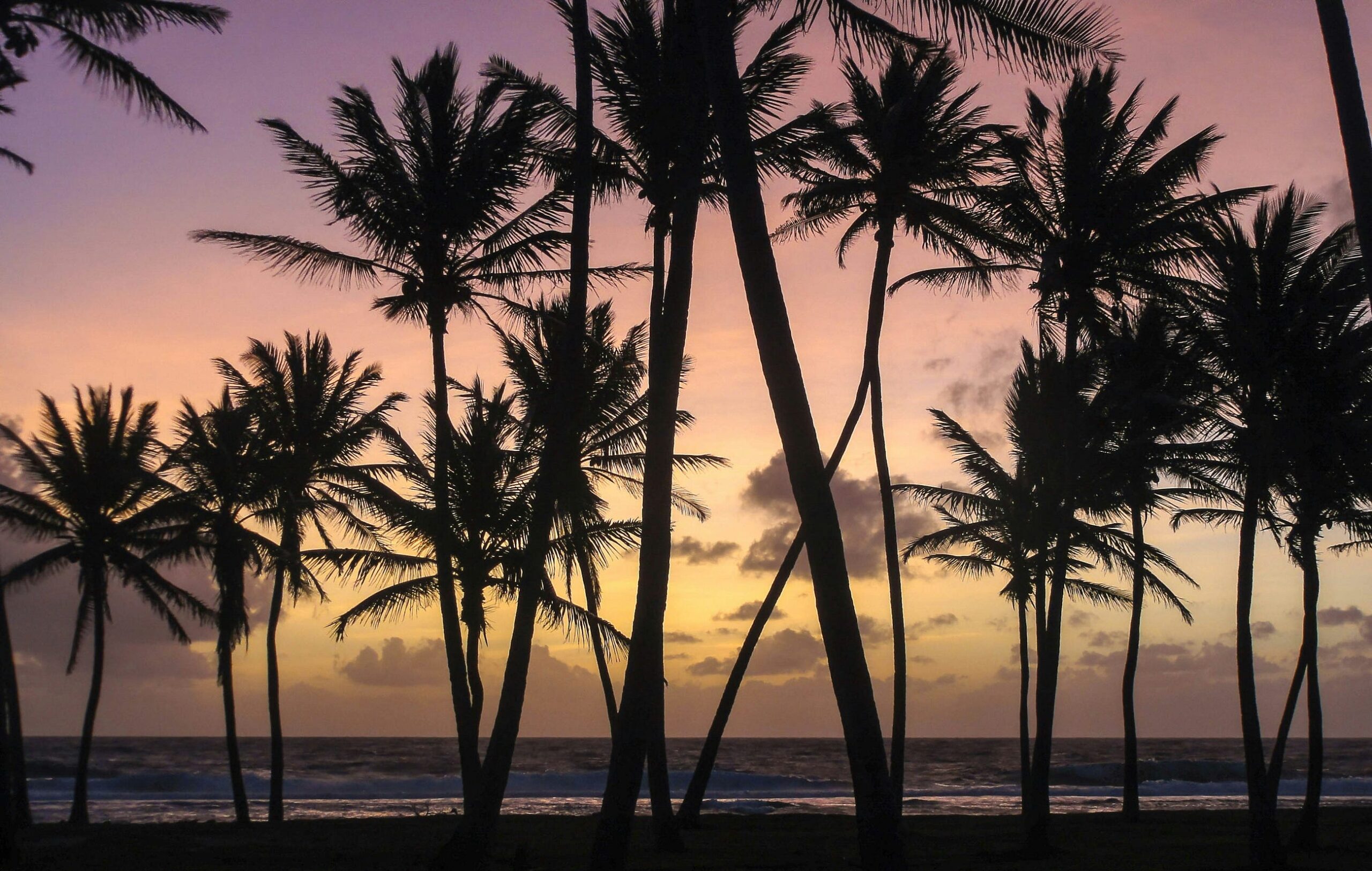 The Marshall Islands Launches the World’s First Crypto-Based Universal Basic Income