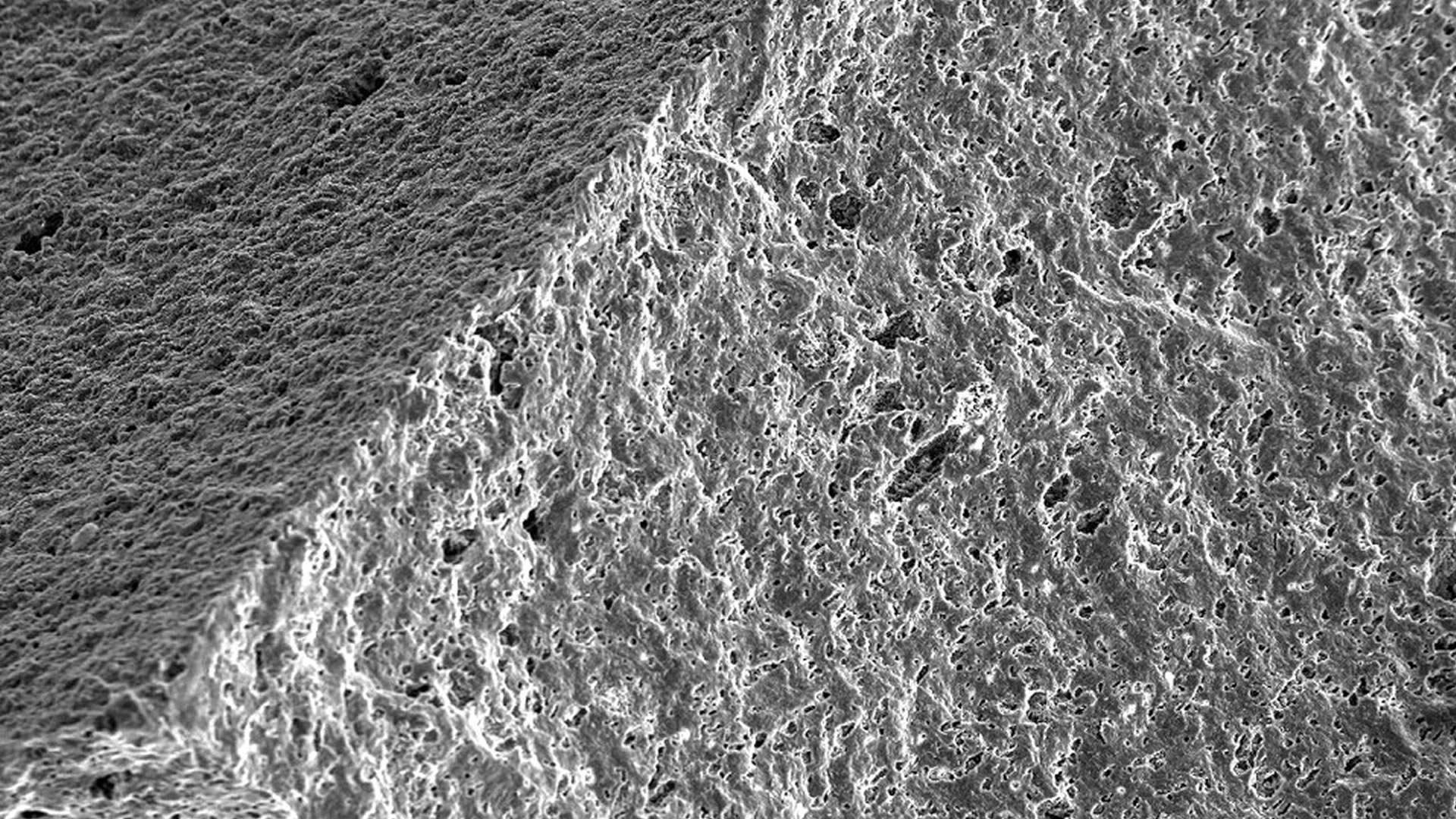 Twist it, torch it, and freeze it: China’s new ceramic springs back even from 2,732°F