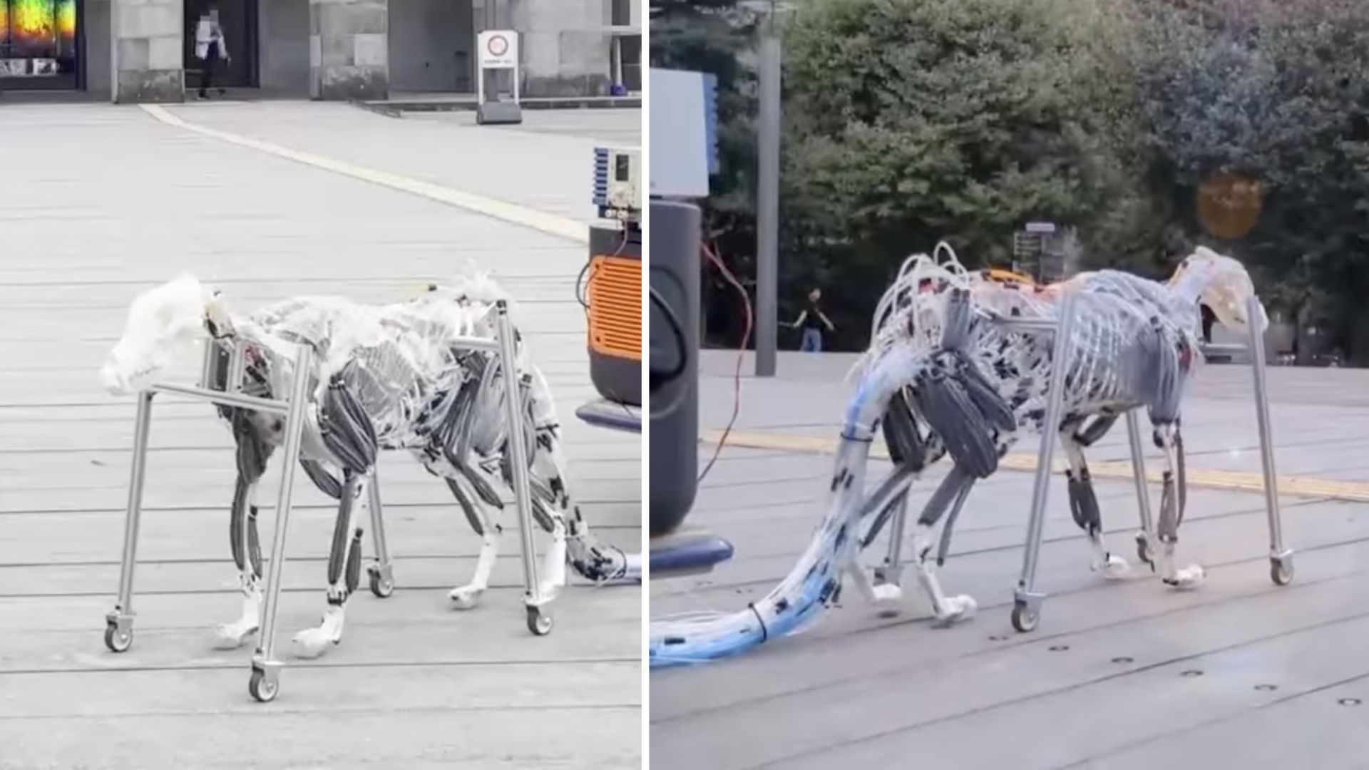 Video: Dog-inspired robot uses air-powered muscles for smooth, stable motion