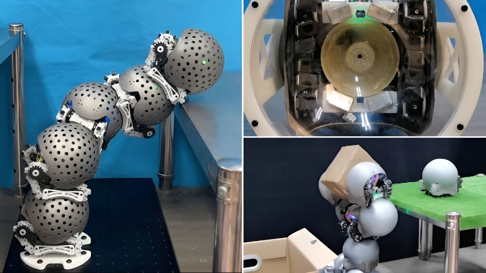 Video: Snail-inspired swarm robots cooperate to build structures on demand