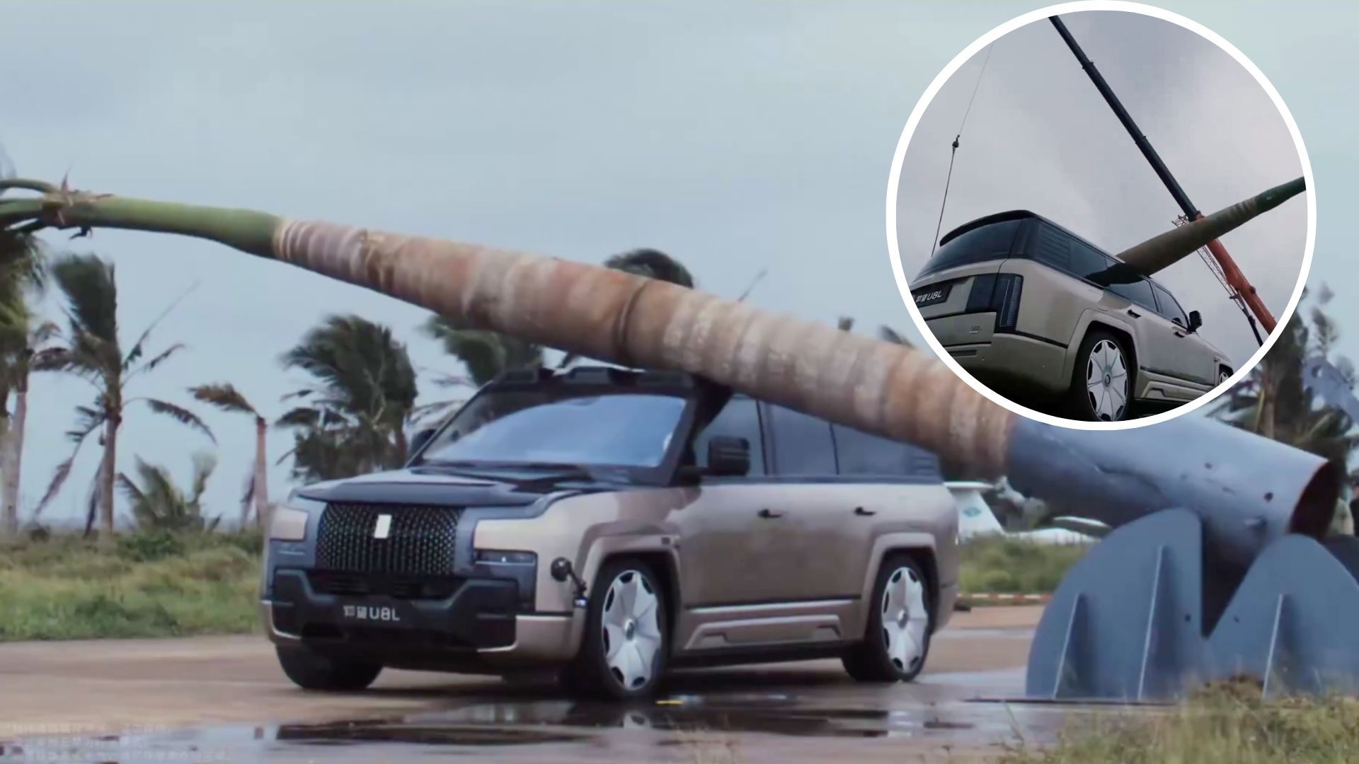 Watch: BYD drops 2-ton tree on EV, vehicle remains intact, proves durability