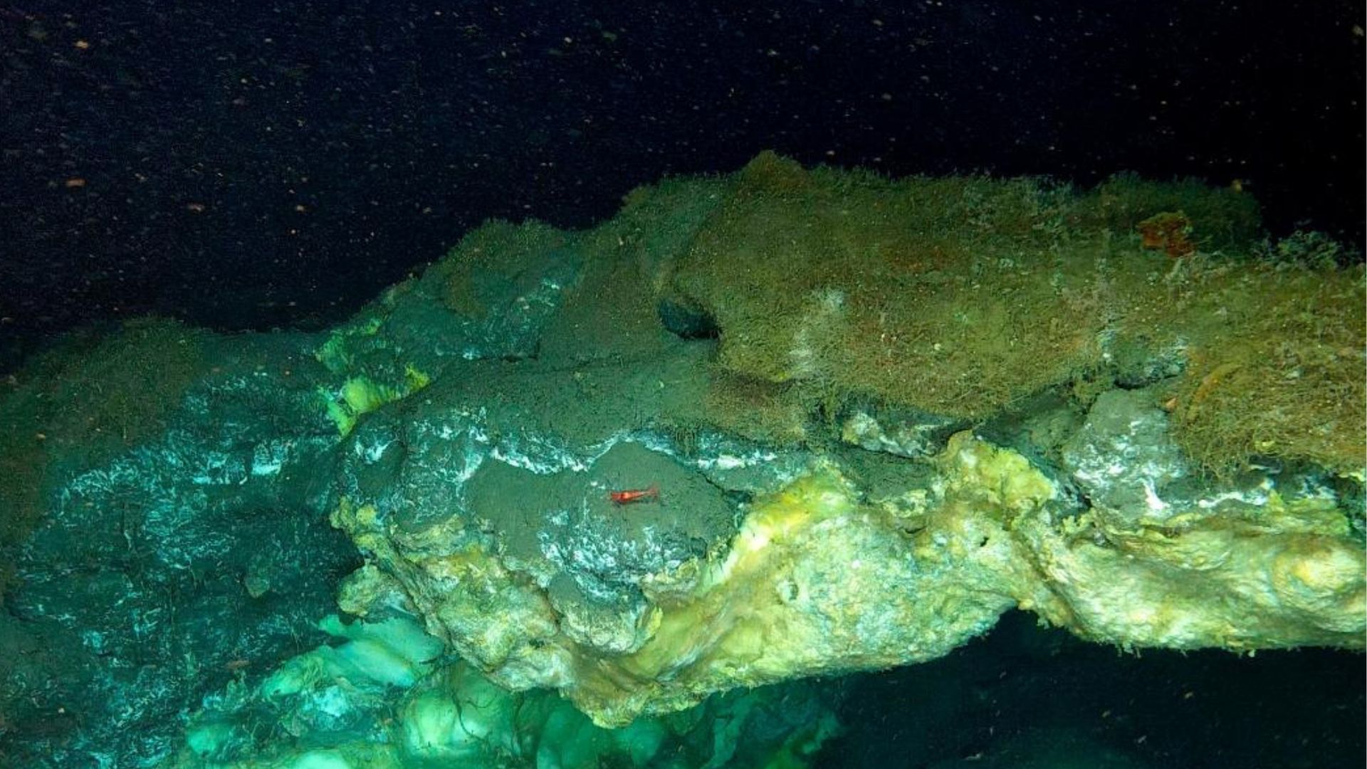 World’s deepest methane-seeping hydrate mounds found 11,942 feet below Greenland Sea