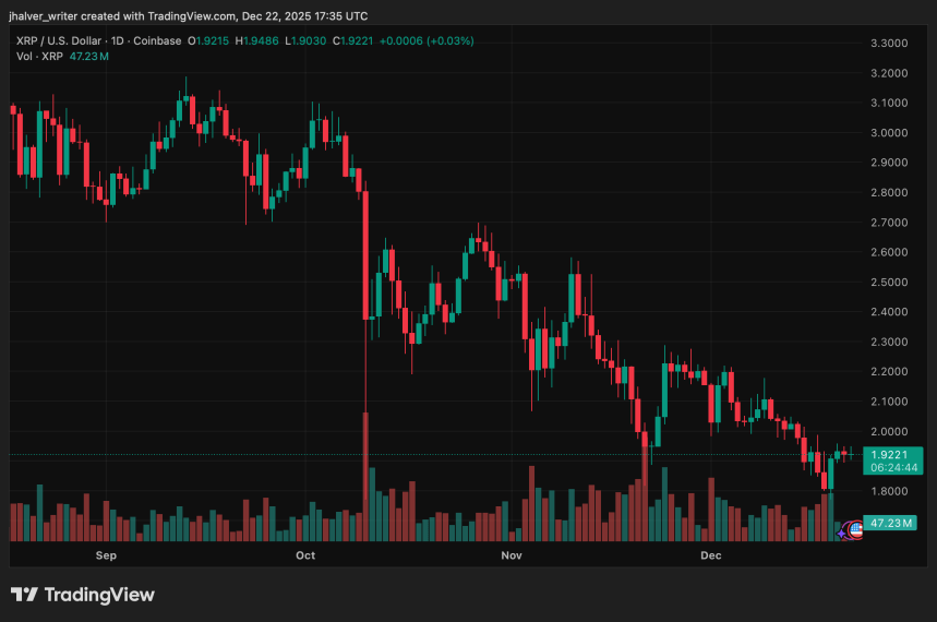 XRP Price Holds Key Support While Traders Weigh Breakout Odds and Downside Risk