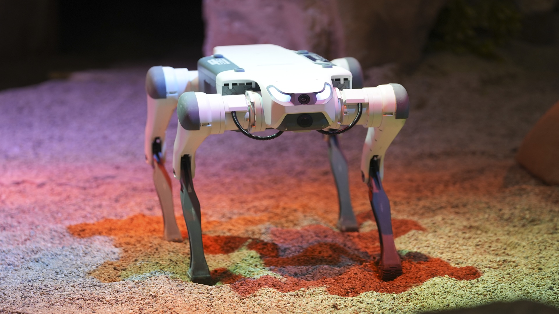 AI-trained quadruped robot walks rough, low-friction terrain without human input