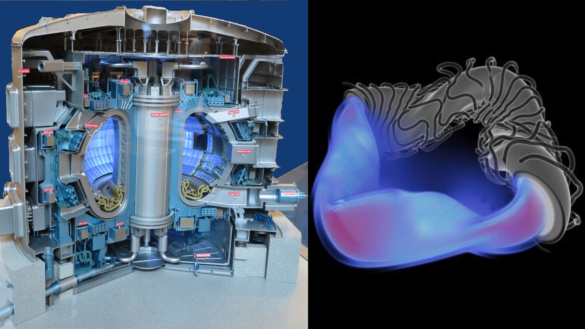 Award-winning US code maps how neutrons, photons move through nuclear fusion reactors