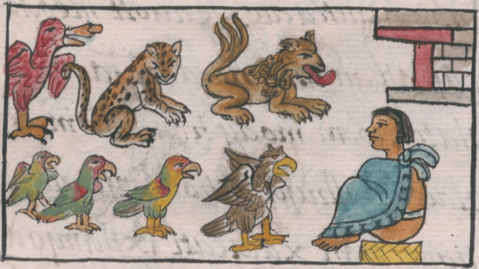 Bones do not lie: Archaeologists confirm Aztecs use captive animals for ritual sacrifice
