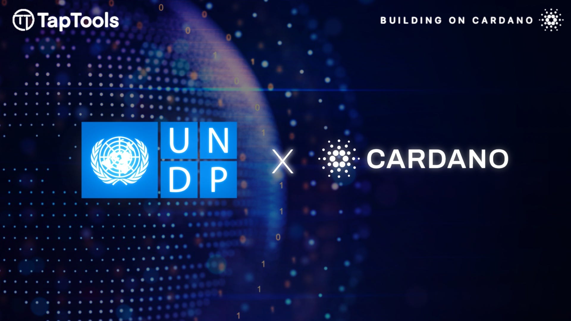 Cardano Featured in UNDP’s Latest Blockchain Report