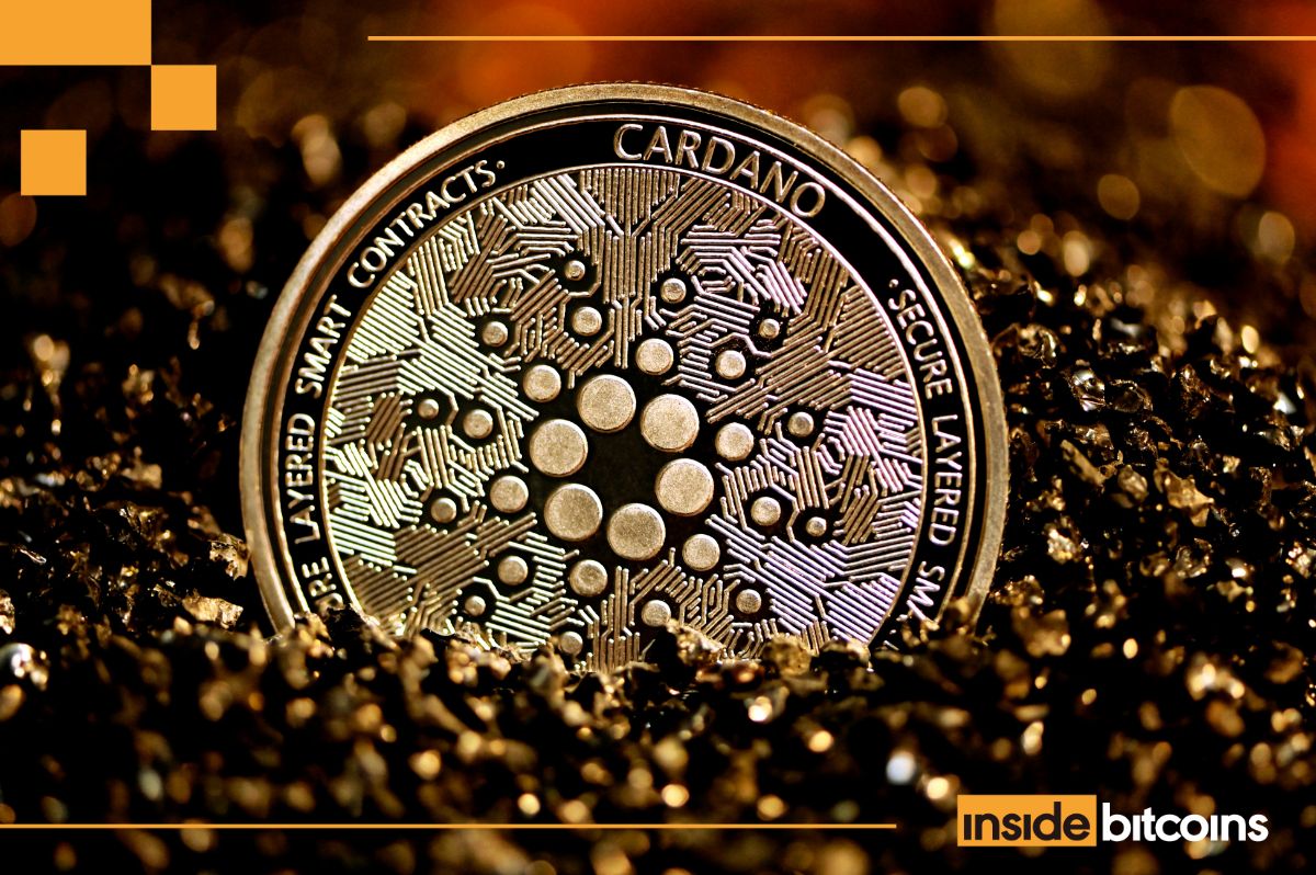 Cardano Whales Stack 210M ADA, Igniting $1 Recovery Hopes