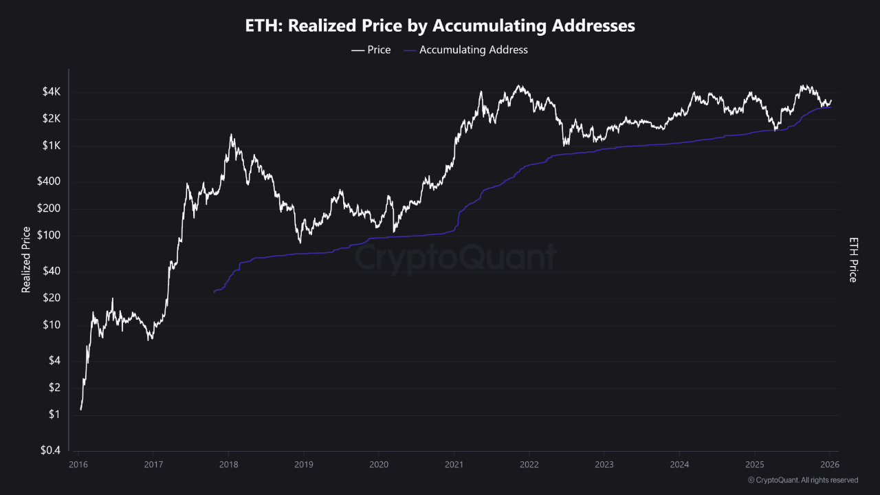 Ethereum Long-Term Cost Basis Holds Firm: Structural Floor Forms Near $2.8K