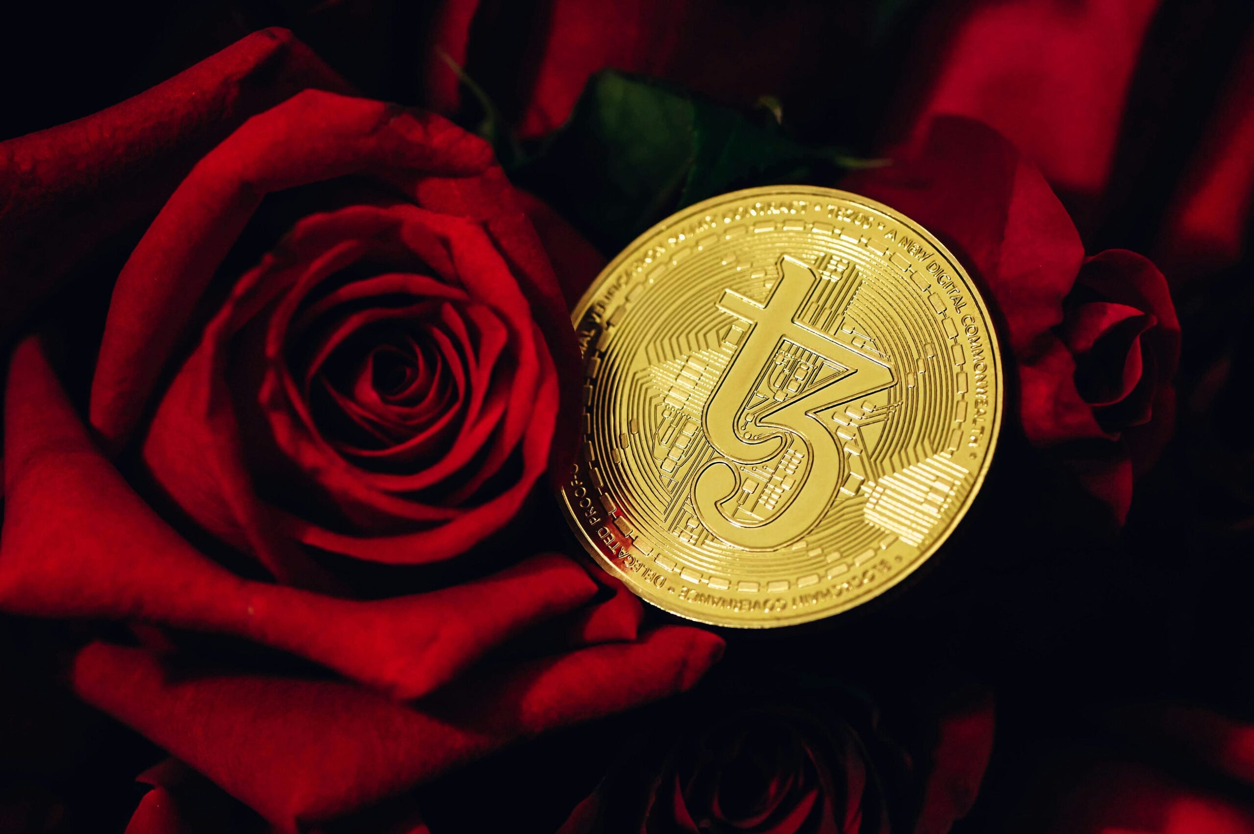 How Are Cryptocurrency Hot Wallets Different From Cold Wallets? A Simple Guide to Secure Storage
