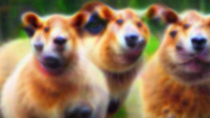 Interpretierbarkeit für KI: Wie man neuronale Netze verstehen kann