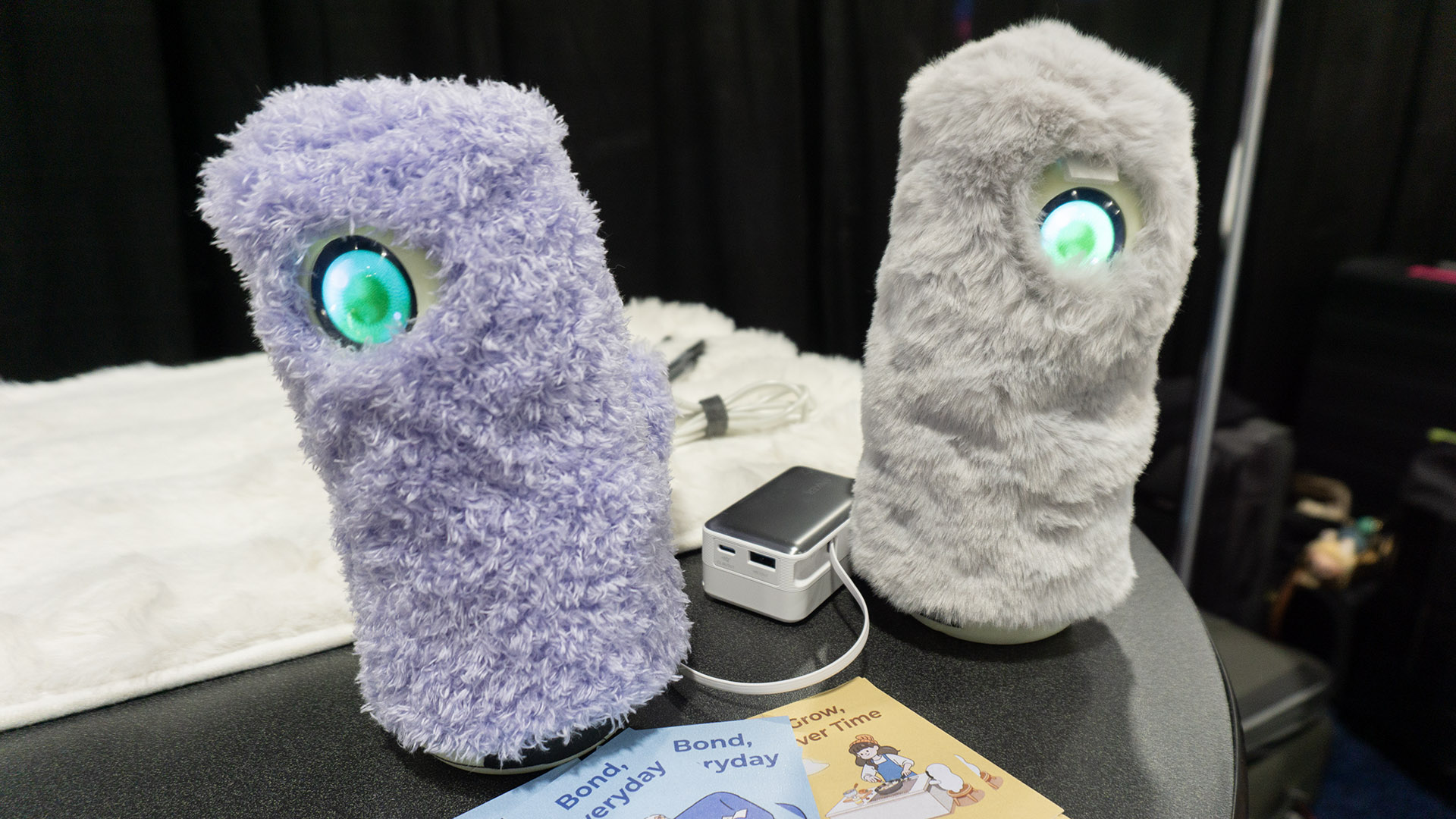 Japanese startup Ludens AI brought two very adorable robots to CES 2026