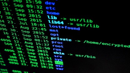 Jetzt abschalten: Zehn Jahre alte Telnetd-Lücke macht jeden Client zum Root