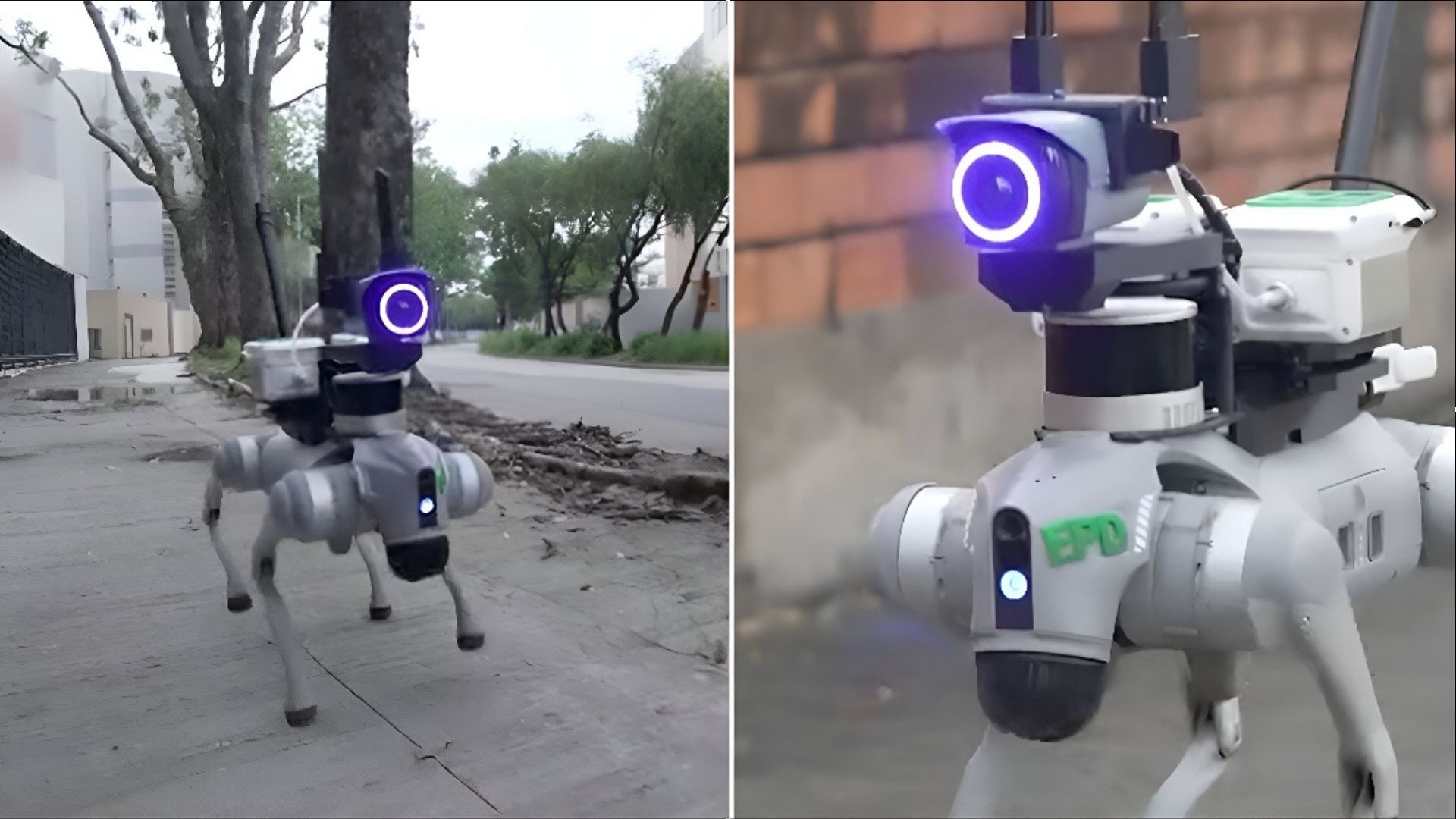 Laser-loaded robot dogs, AI bird tracker reshaping environmental assessments