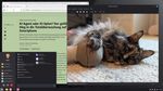 Linux Mint 22.3: Die neue Version des populären Windows-Ersatzes im Test