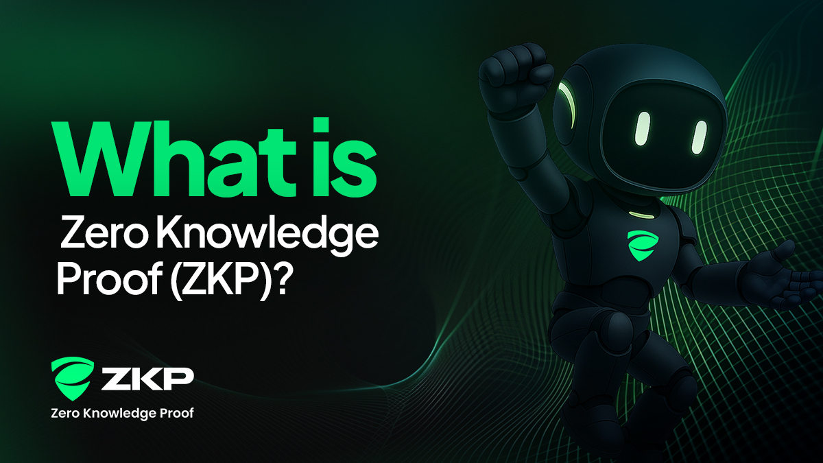 Overview of Zero Knowledge Proof and Data Verification