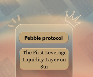 Pebble Protocol: The First Leveraged Liquidity Layer on Sui.