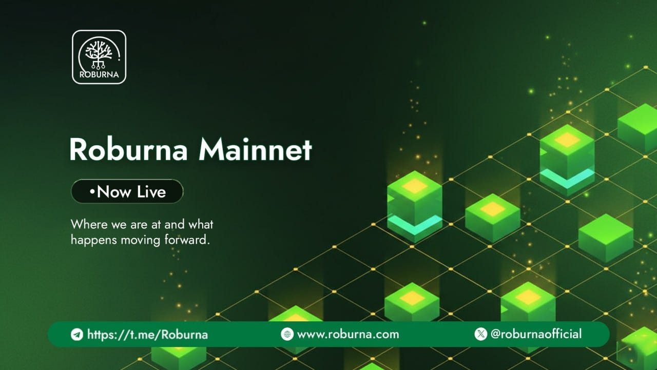 Roburna Mainnet Is LIVE: Current Status and What Comes Next