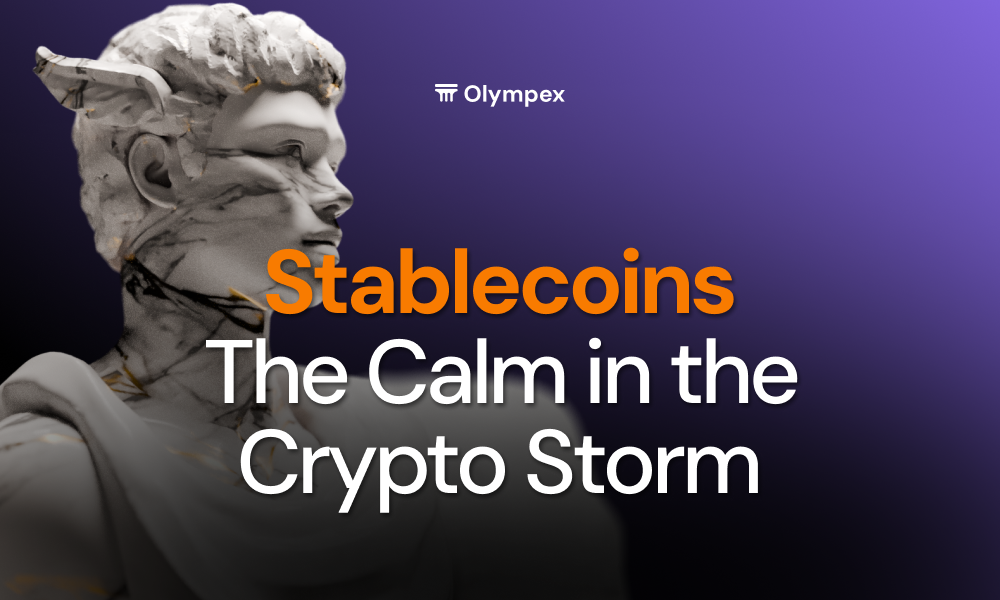 Stablecoins: The Calm in the Crypto Storm