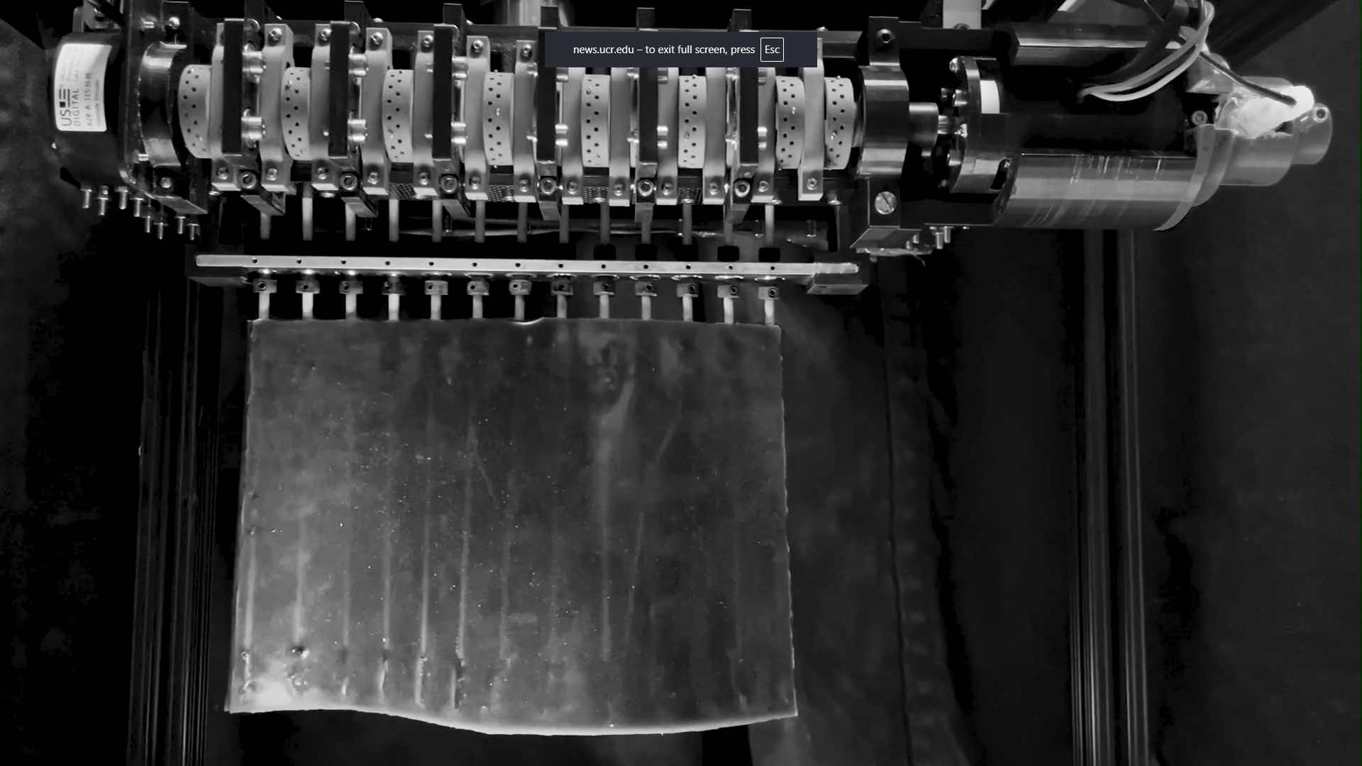 Stingray-inspired fins boost underwater robot agility and prevent seabed collisions