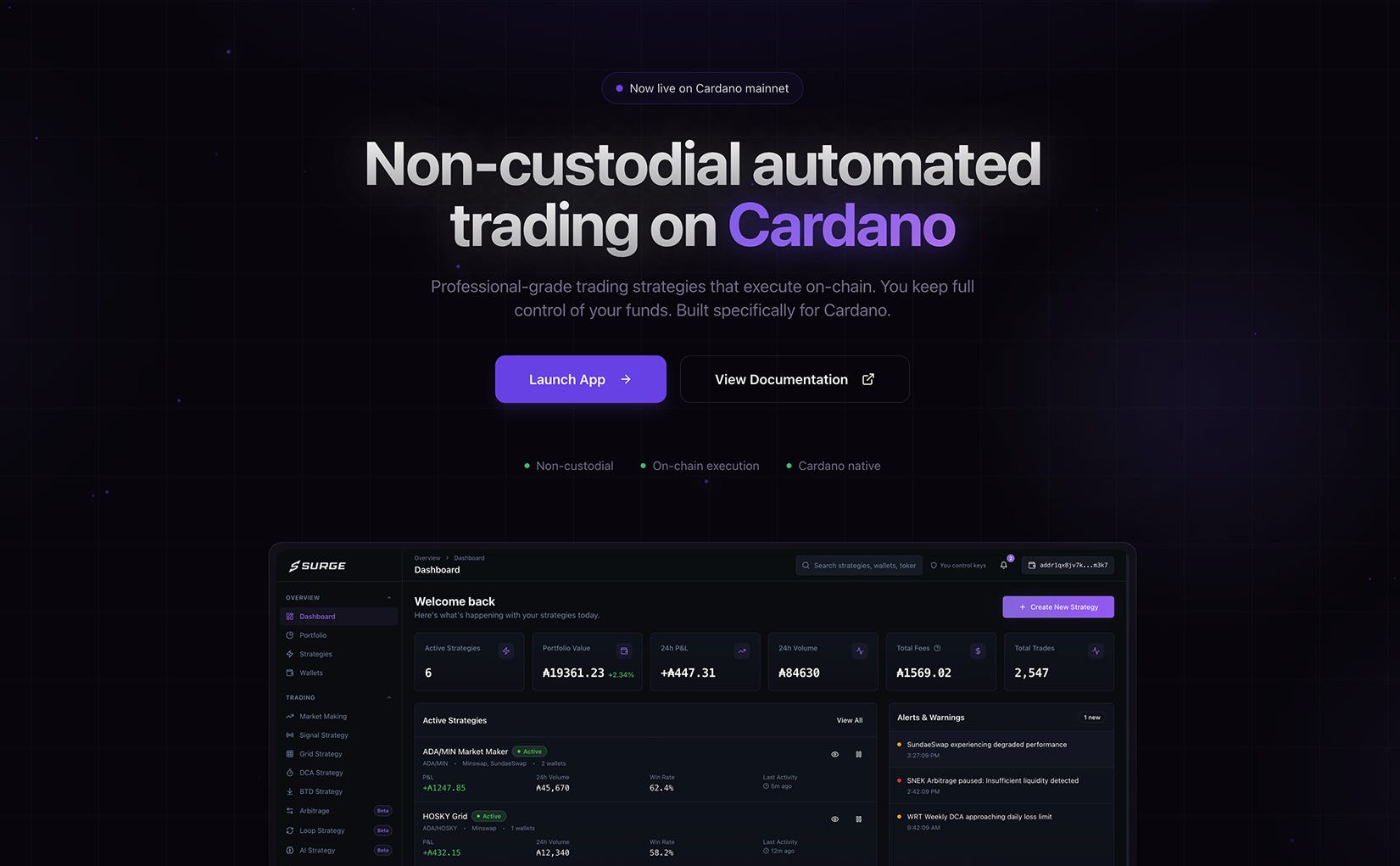 Surge Mainnet App: Getting Started and Initial Capabilities