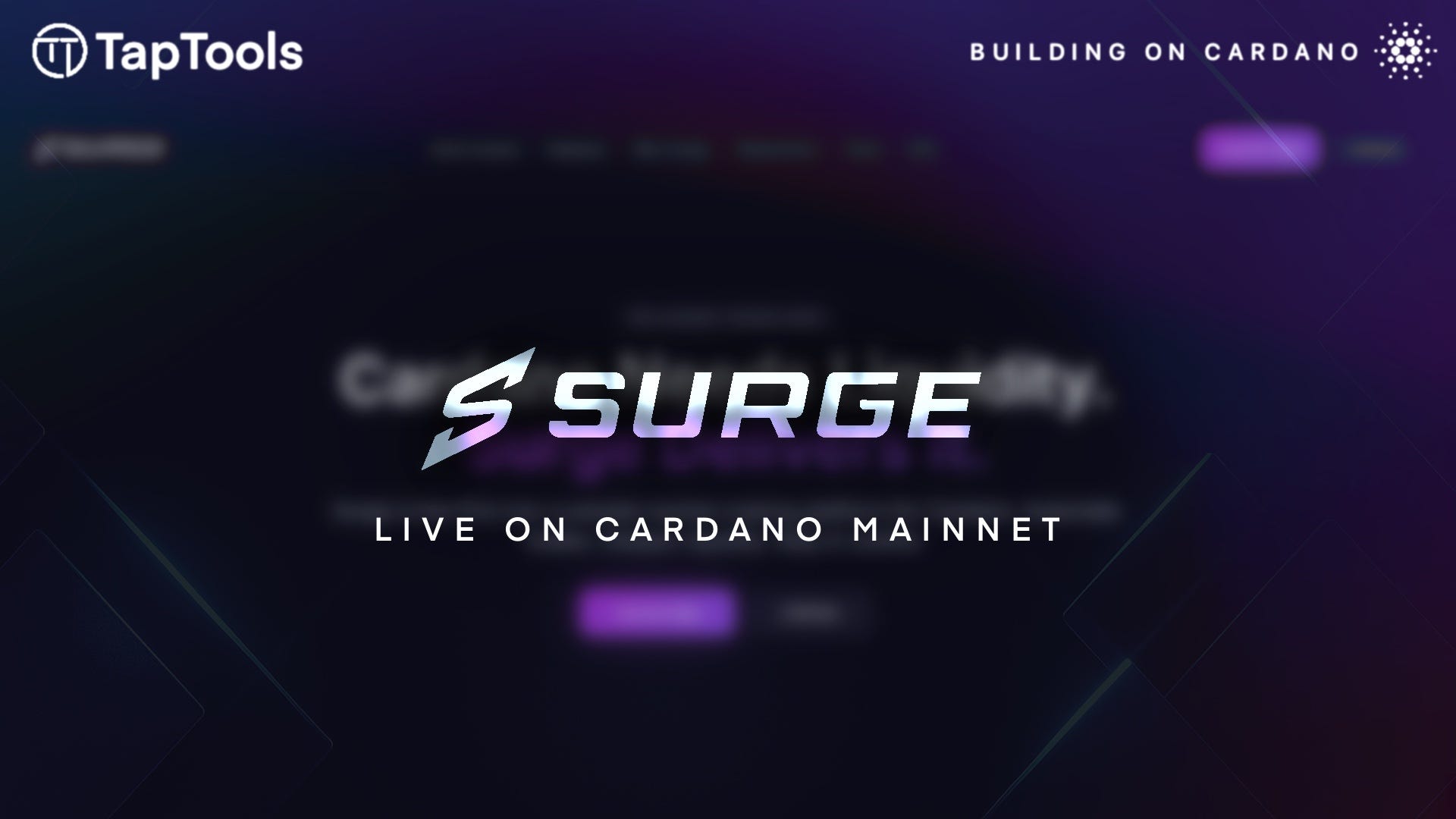 Surge Protocol Goes Live on Cardano