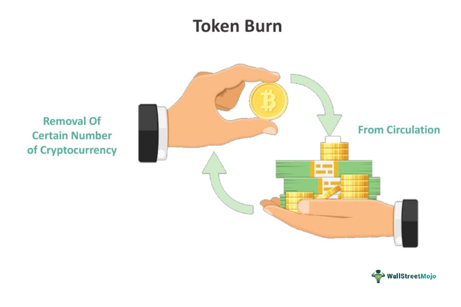 The Art of the Burn: Why Hopeum’s Deflationary Model Matters