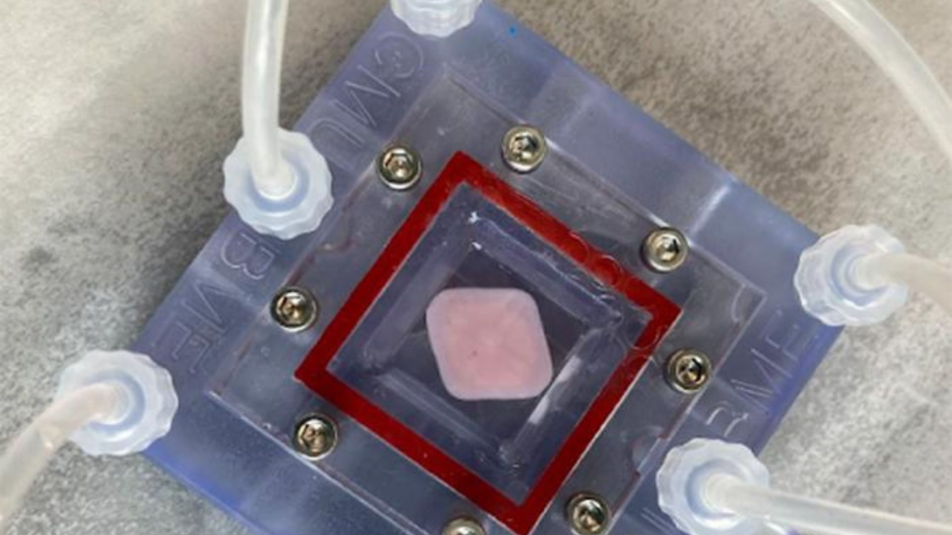 US projects to 3D bioprint livers, hearts and kidneys using immune-matched cells