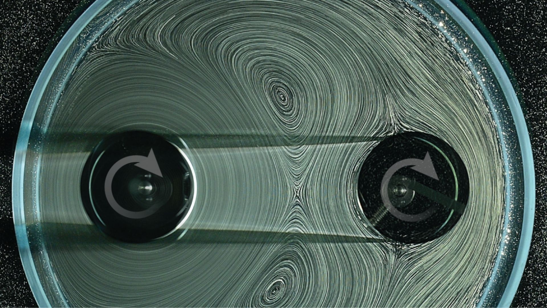 US scientists invent water-driven gears for robots and machines that resist wear