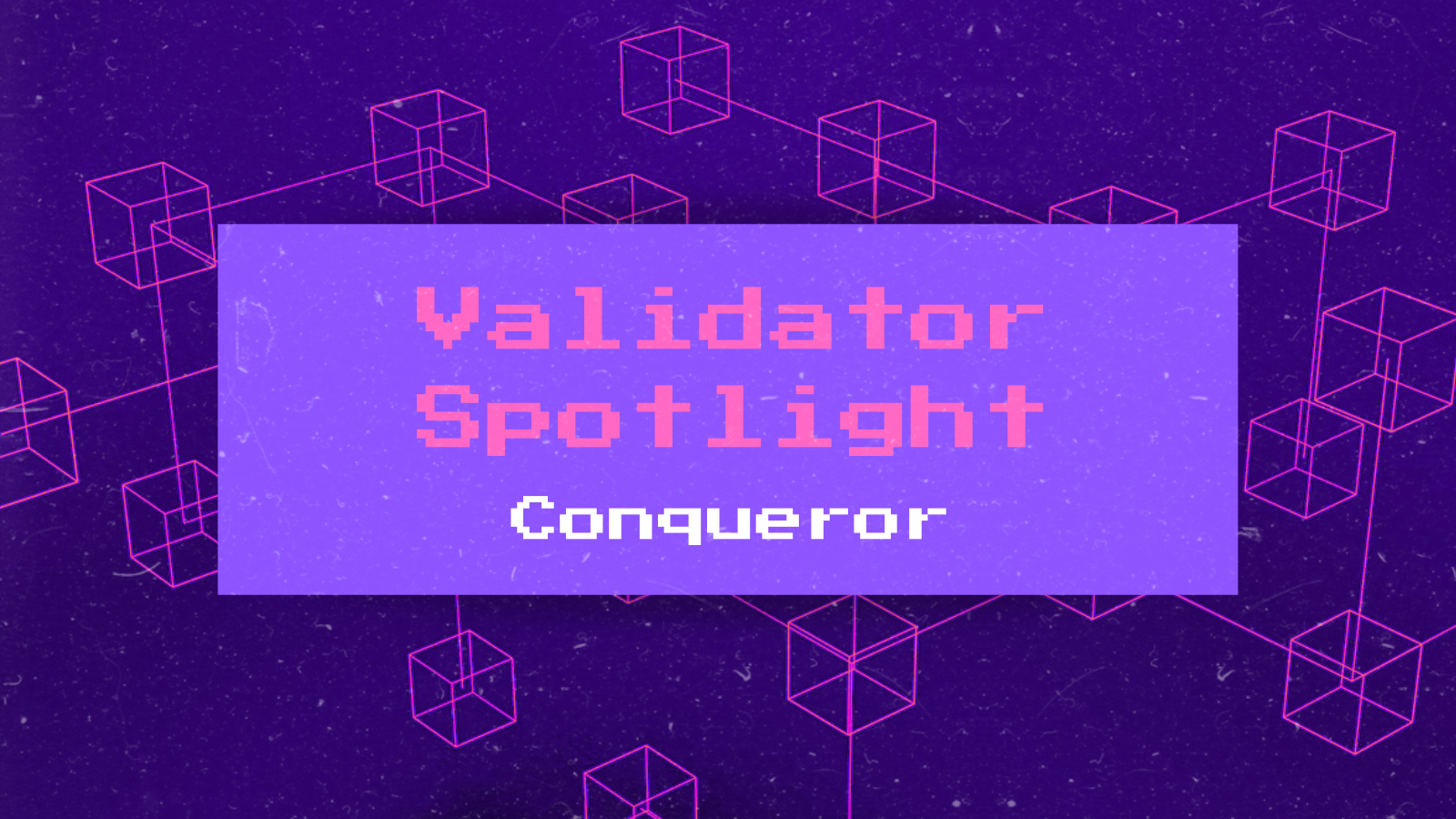 Validator Spotlight | Conqueror