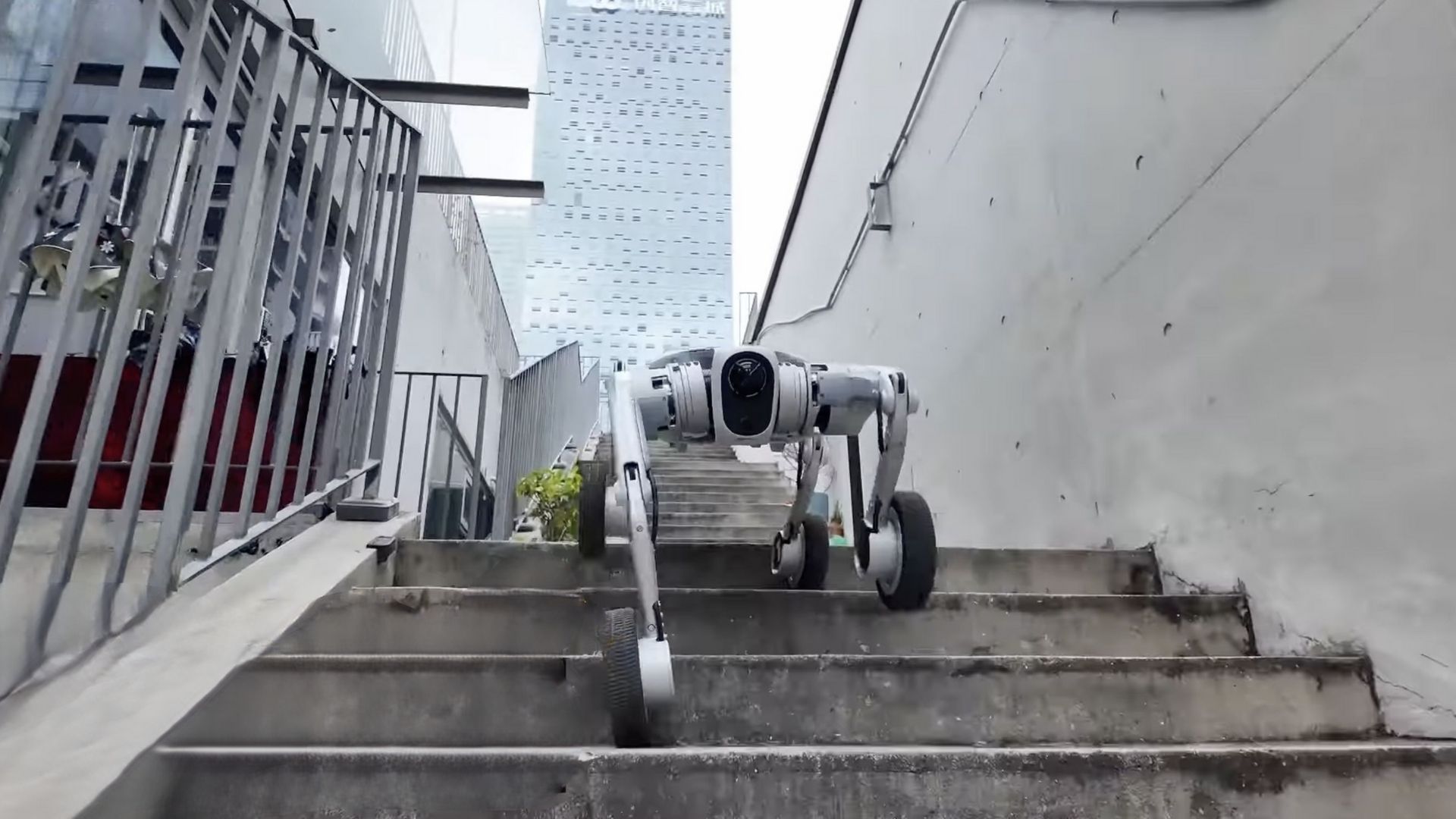 Watch: China’s new hybrid robot dog sprints up stairs at five feet per second speed