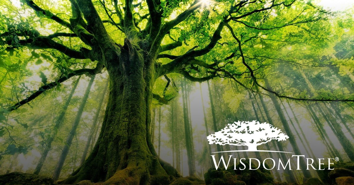 WisdomTree Introduces Full Tokenized Fund Suite to Solana Mainnet