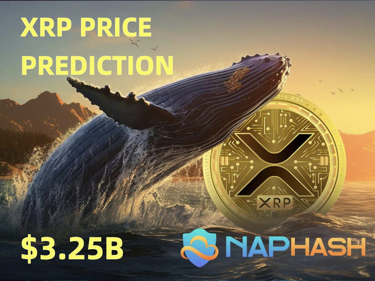XRP’s Whale Accumulation Increases as Investors Explore Alternative Income Strategies