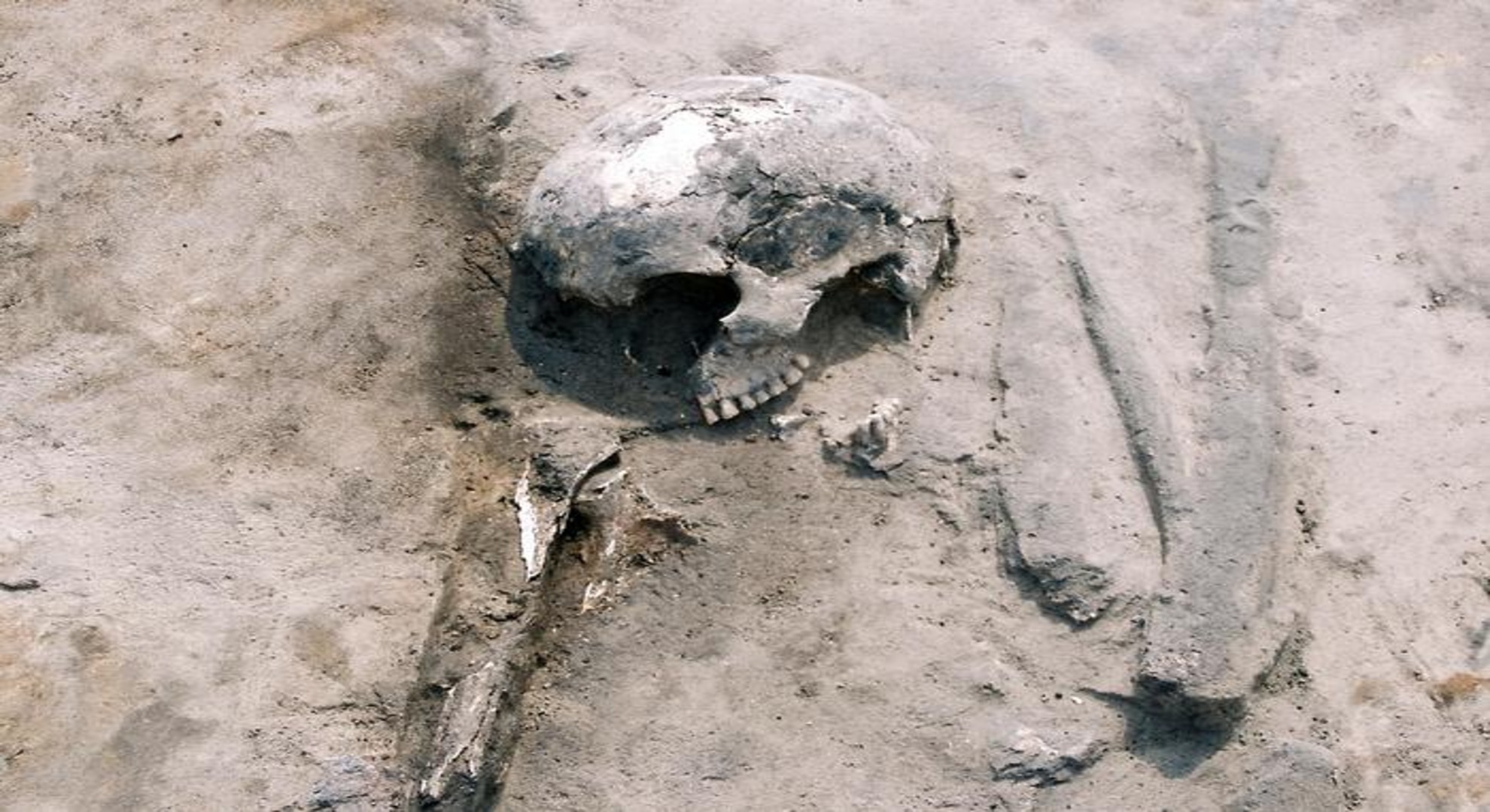 3,000-year-old genes reveal surprising survival strategies in prehistoric Poland