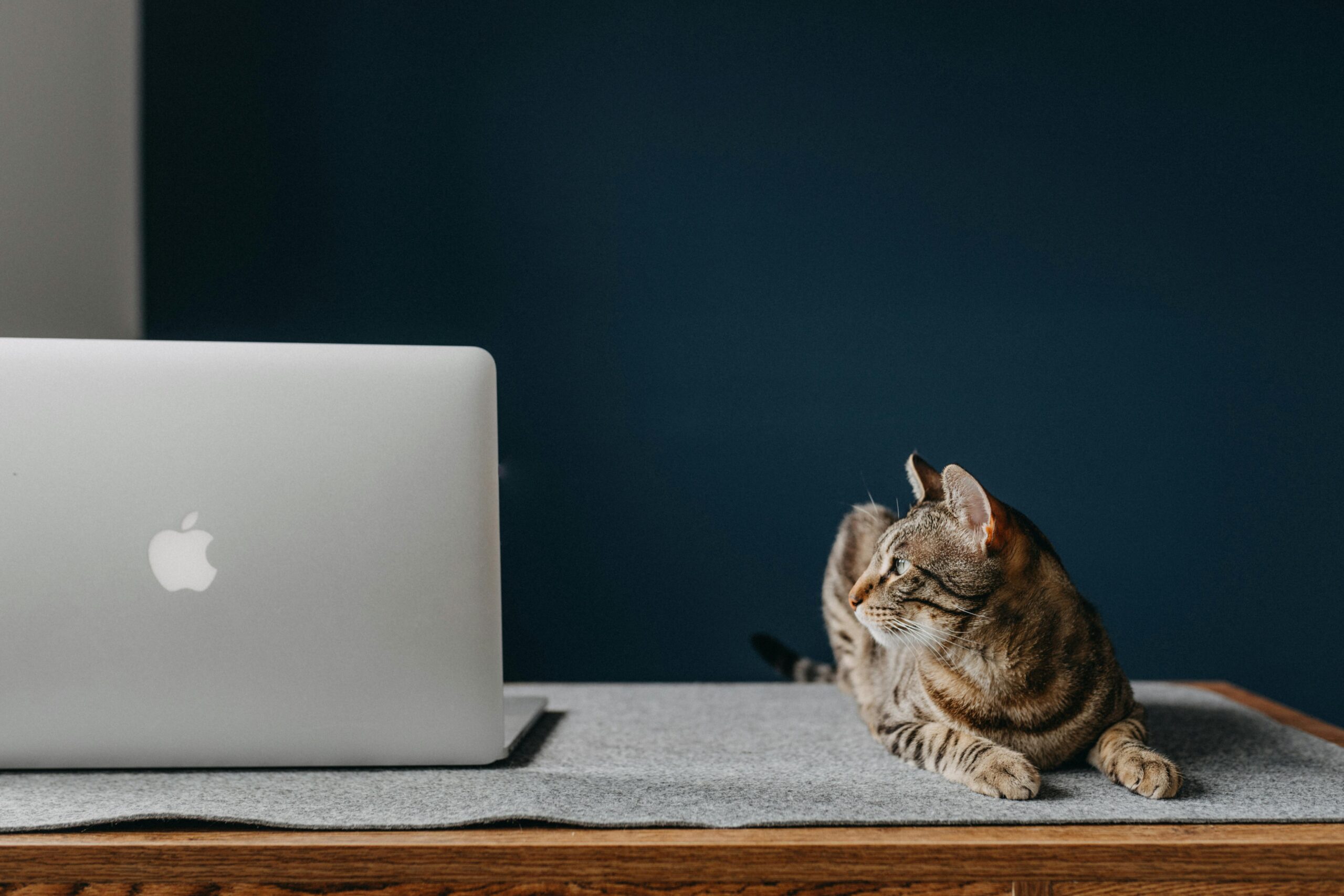 AdGuard is your one-time fix for pop-ups, autoplay ads, and online tracking — now $16