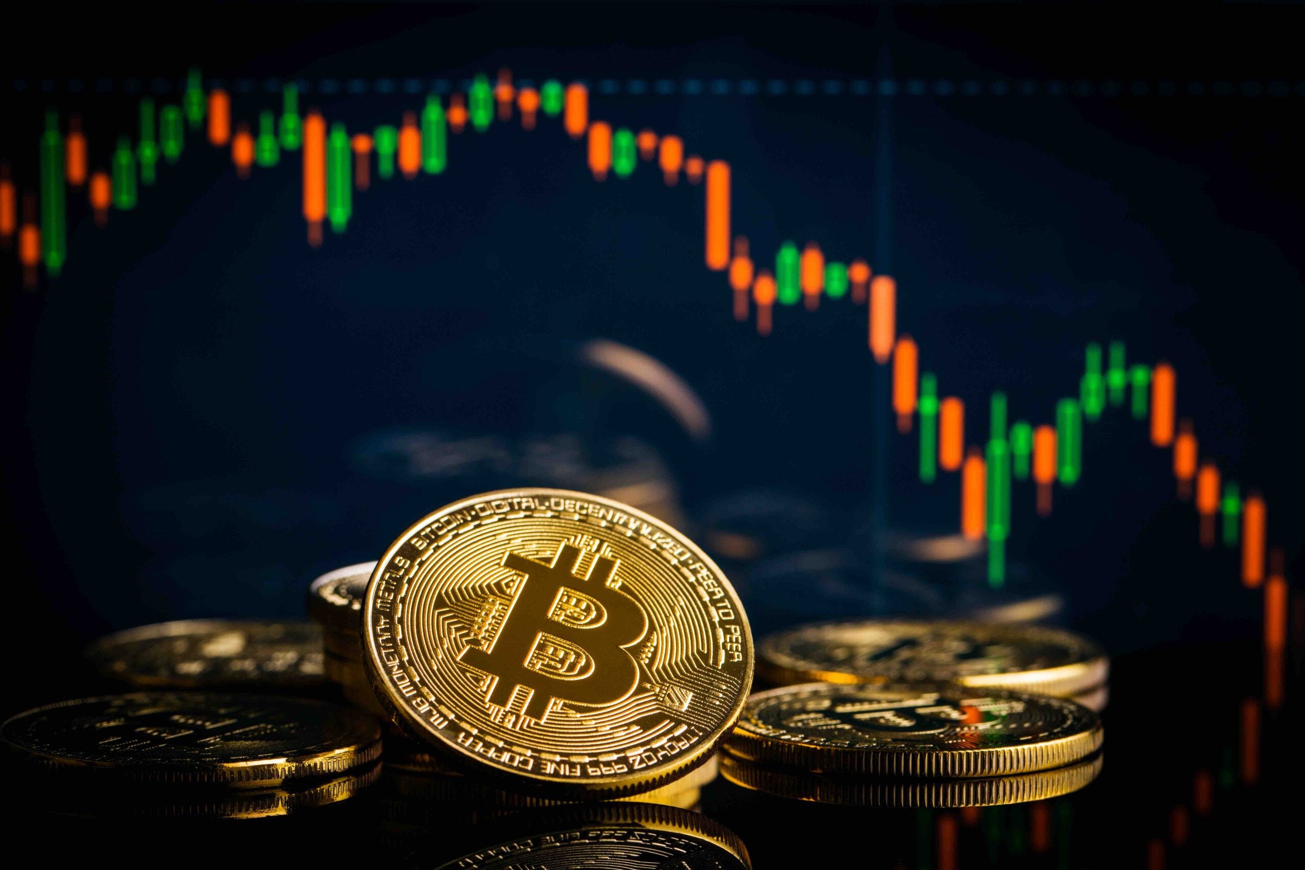 Bitcoin HODLers Defy Market Slowdown Here’s Why It Matters