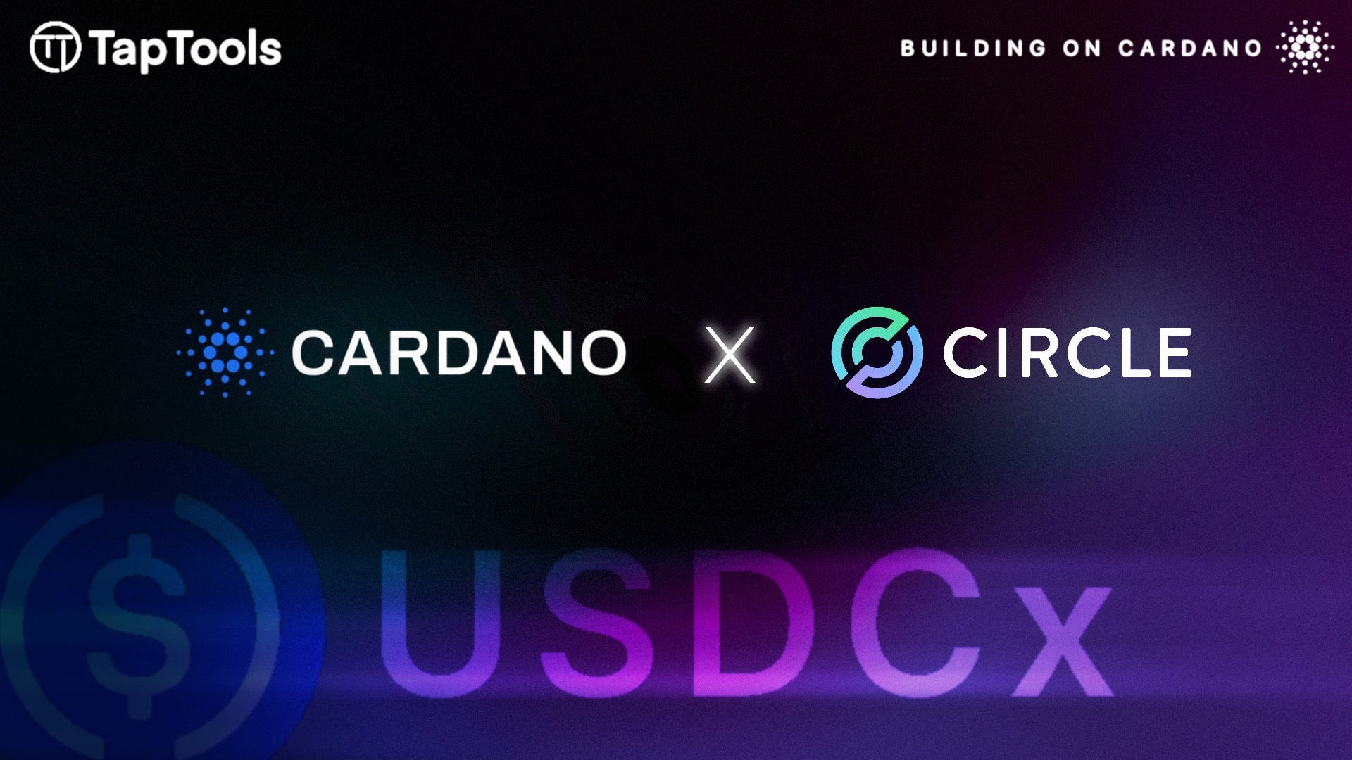 Charles Hoskinson Announces USDCx Agreement with Circle