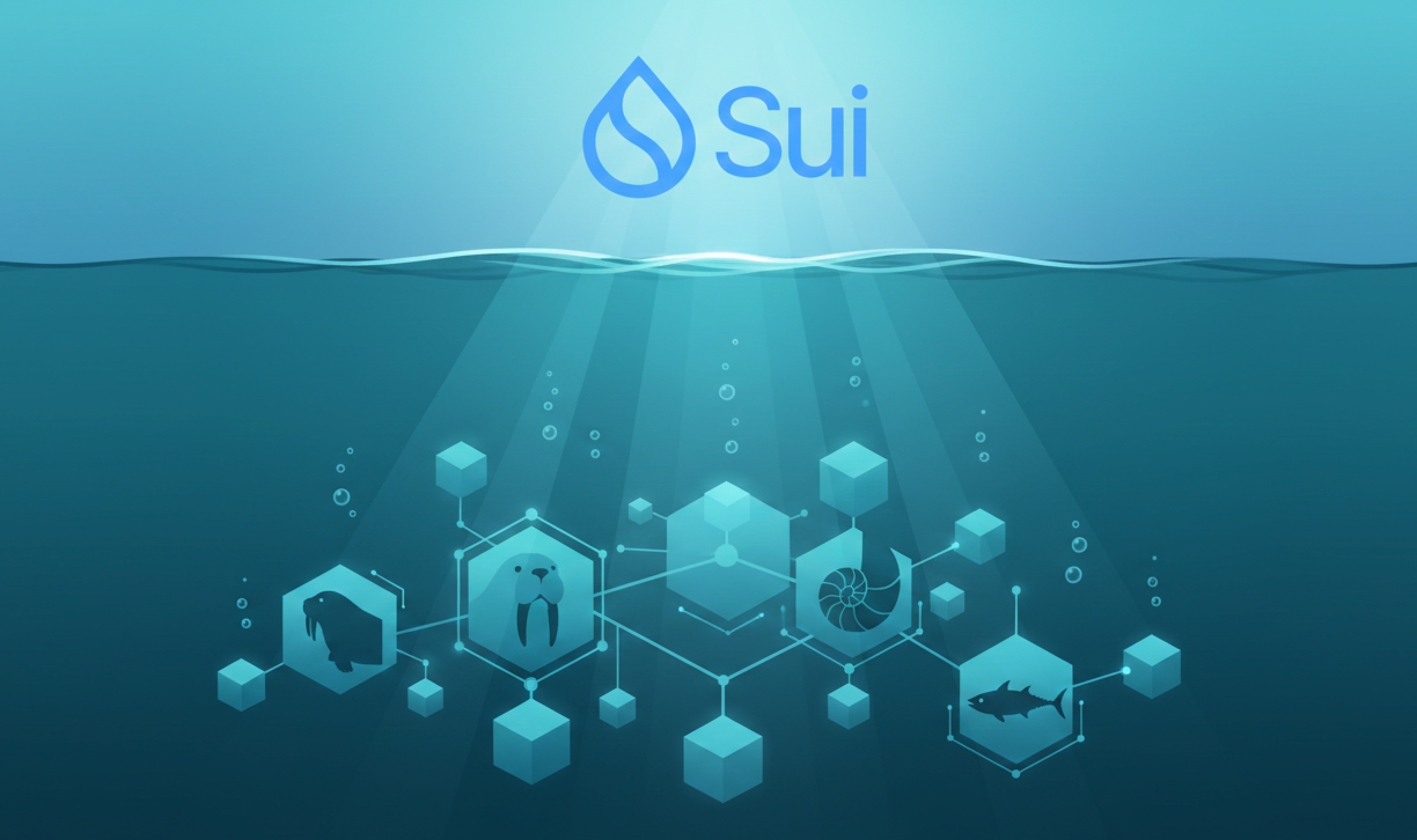 Découvrir Sui : une blockchain aux innovations multiples