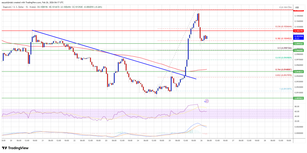 Dogecoin (DOGE) Strengthens as Altcoin Rally Signals Renewed Risk Appetite