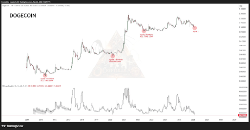 Dogecoin RSI Has Crashed To Lowest Level Since Launch, Analyst Predicts Next Target