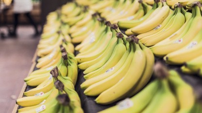 Ernährung: Chatbot der US-Regierung liefert Empfehlungen für Po-Gemüse