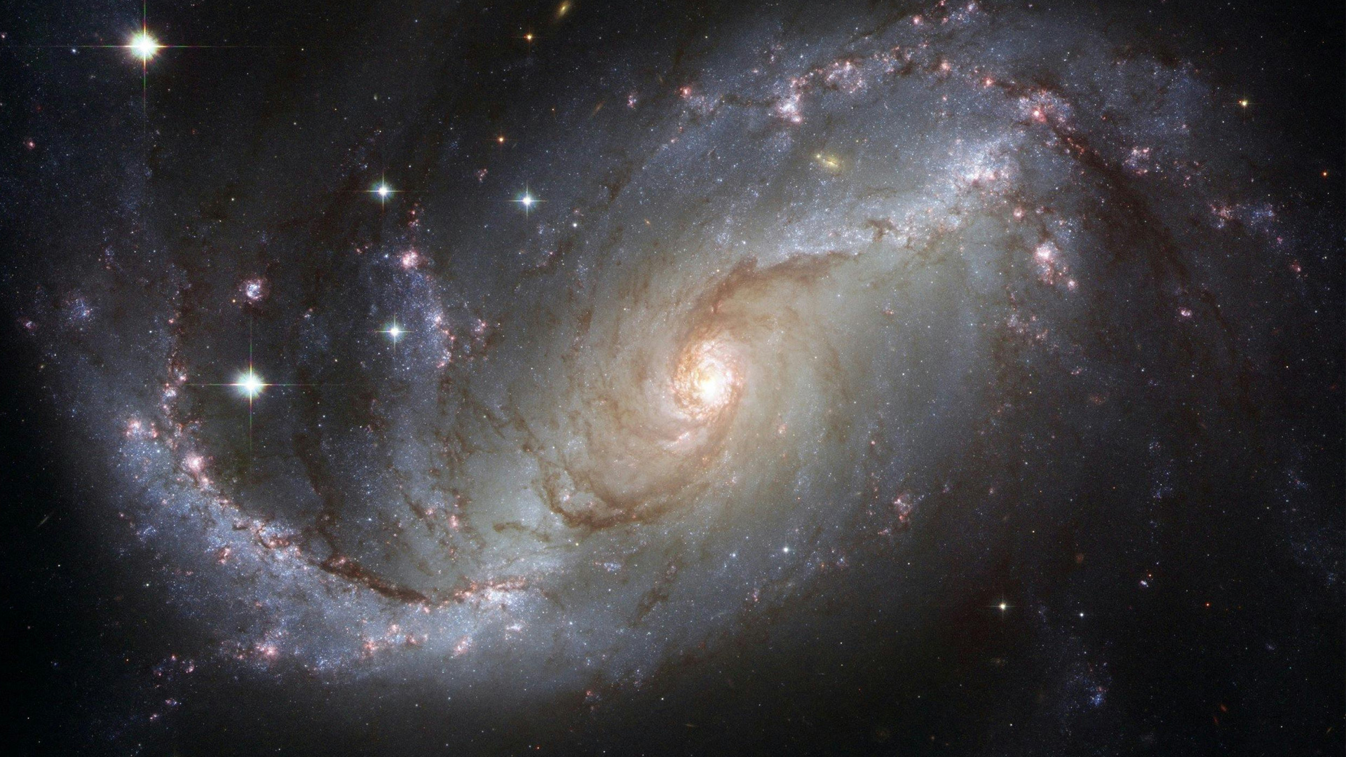 Exotic dark matter candidate that could replace supermassive black hole theory modeled