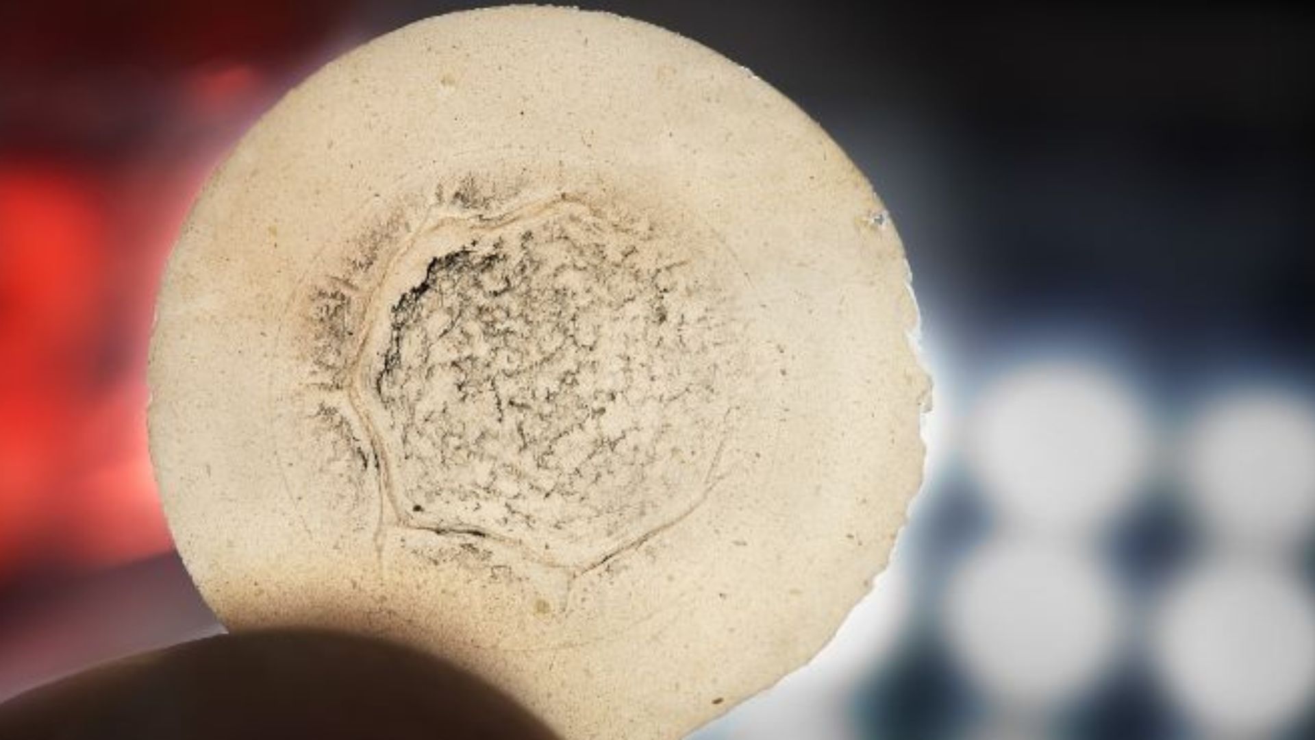 First-of-its-kind nanocellulose filters rare earth metals, reduces toxic waste