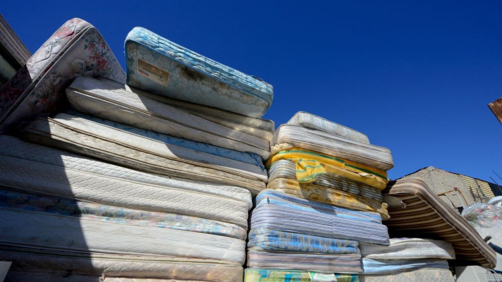 Fungus transforms old mattress waste into insulation material for buildings