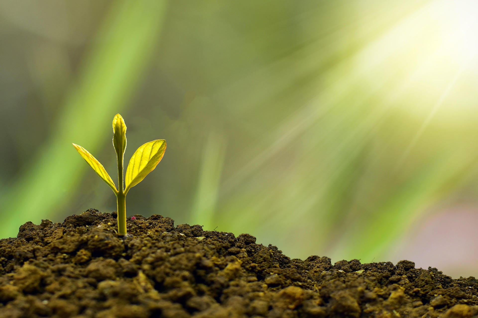 How the Rise of RWA Trading Platforms Is Changing Modern Trading